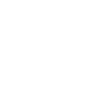 Theory Hazit logo