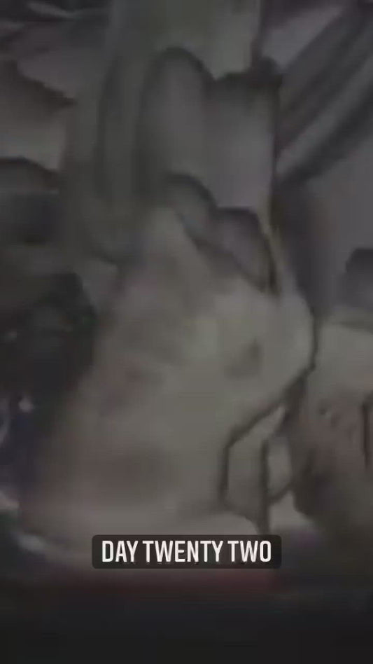 Sunshine Jack (Beat/Instrumental)